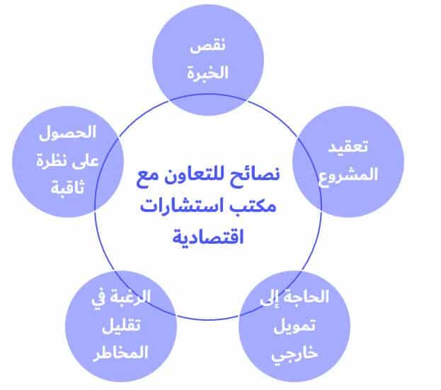 استشارات اقتصادية 