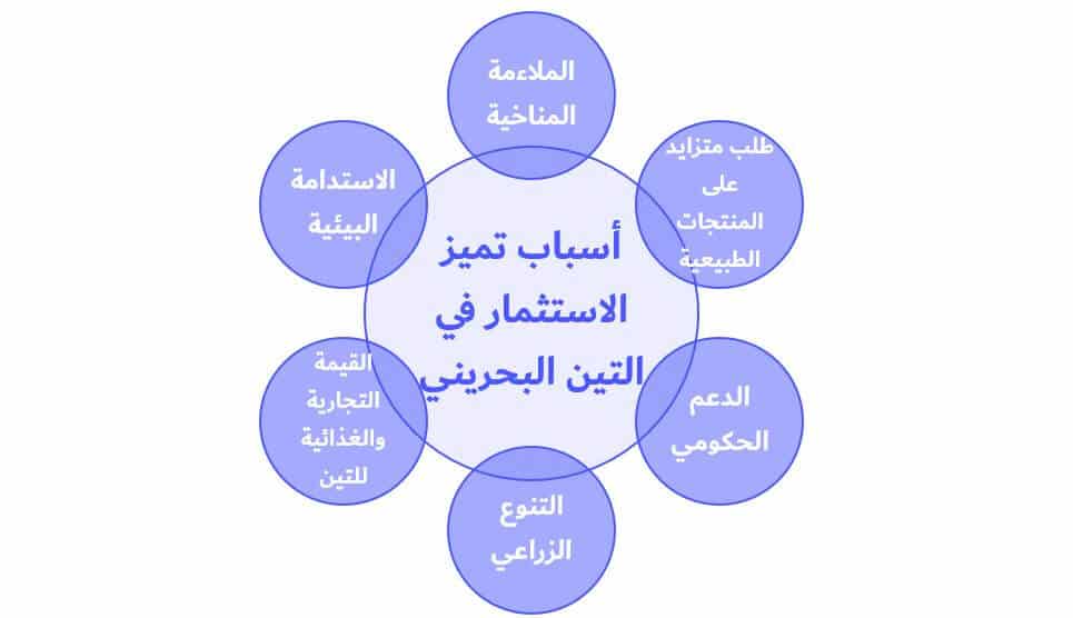 الاستثمار في التين