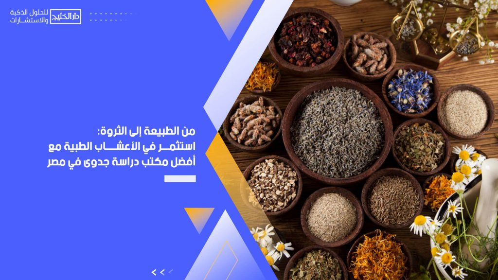 من الطبيعة إلى الثروة: استثمر في الأعشاب الطبية مع أفضل مكتب دراسة جدوى في مصر