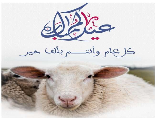 مشاريع عيد الأضحى
