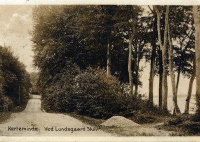 Postkort Kerteminde ved Lundsgaard skov