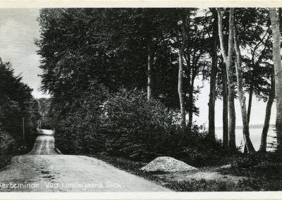 Postkort Kerteminde ved Lundsgaards skov