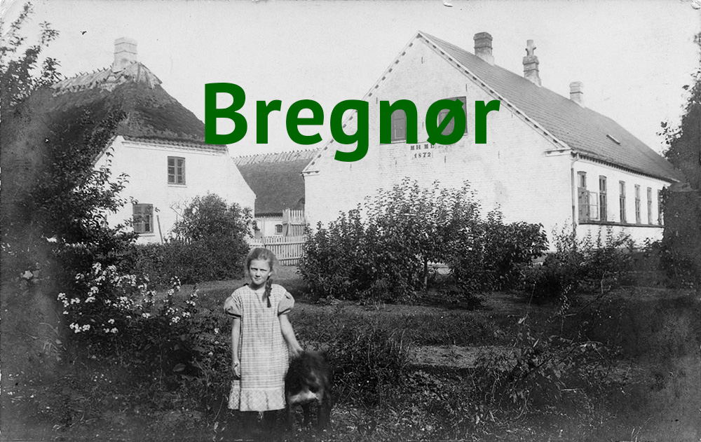 menu_bregnoer01