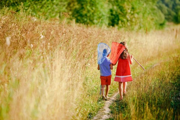 A little boy and a girl walk in the field and catch butterflies with nets