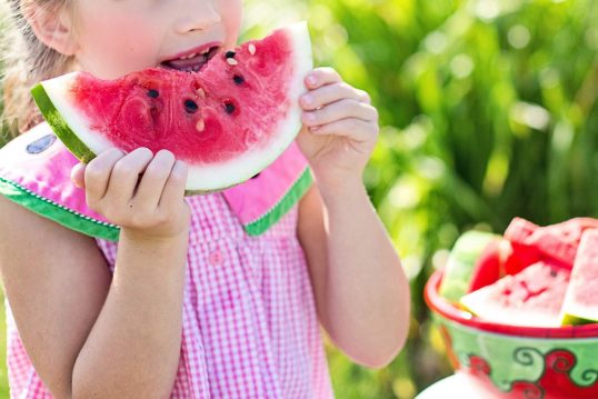 Gesunde Ernährung Kita Kid Zone gesunde Ernährung 538x359 - Gesunde Ernährung
