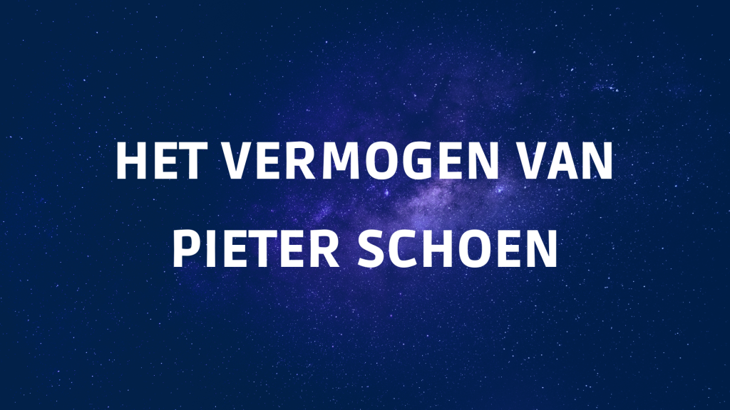 Wat is het vermogen van Pieter Schoen in 2023?