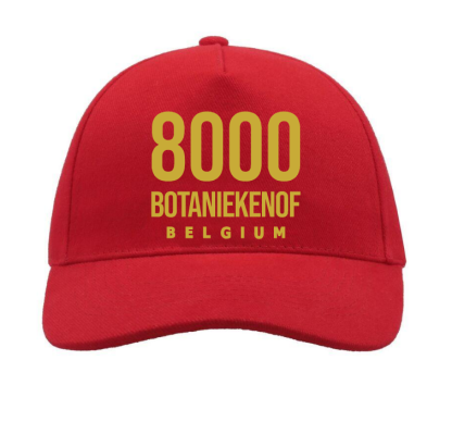 NEIGHBOURHOODIES CAP GOLD ON RED 8000 BOTANIEKENOF
