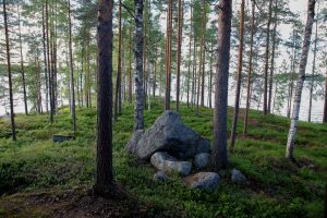 Kinkamon Aalto sijaitsee aivan vetten äärellä ja mäntymetsän katveessa Varkaudessa. Täällä järjestät monipuolisesti juhlat ja kokoukset.