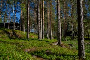 Kinkamon Aalto sijaitsee aivan vetten äärellä ja mäntymetsän katveessa Varkaudessa. Täällä järjestät monipuolisesti juhlat ja kokoukset.