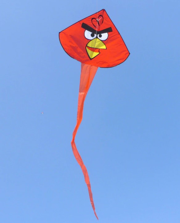 Angry bird - Rød