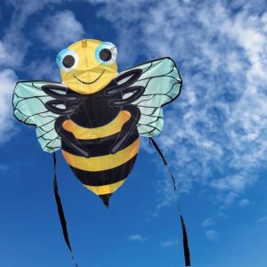 Sky Bugs Bi
