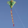 Spiderkites Hermann Drage - Image 4