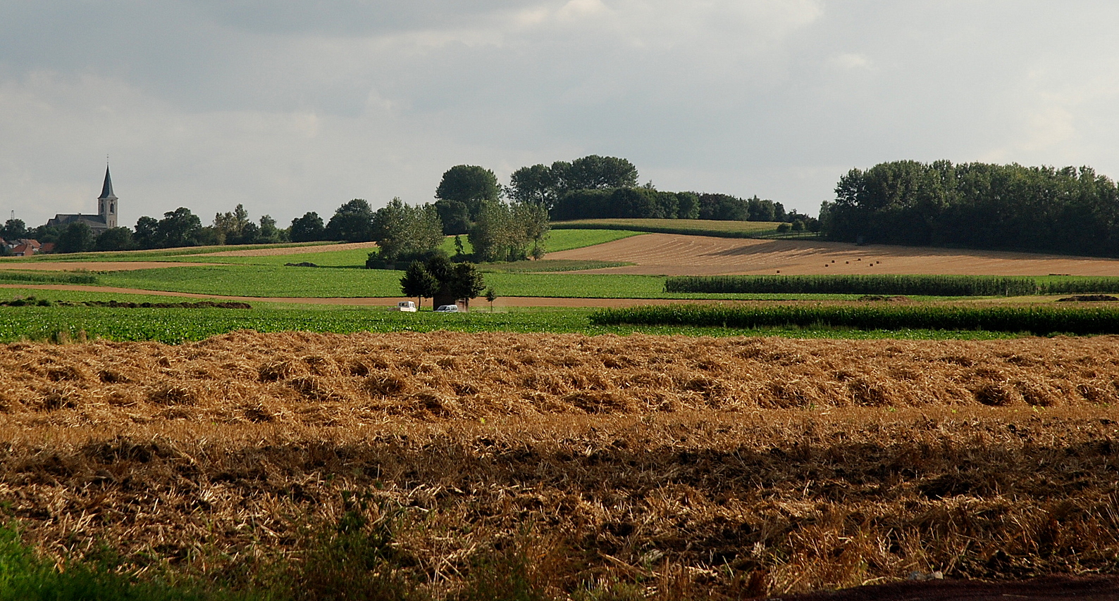 23e Zwarte Koning wandeltocht