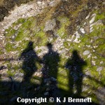 Shadows - Looking Out to Sea