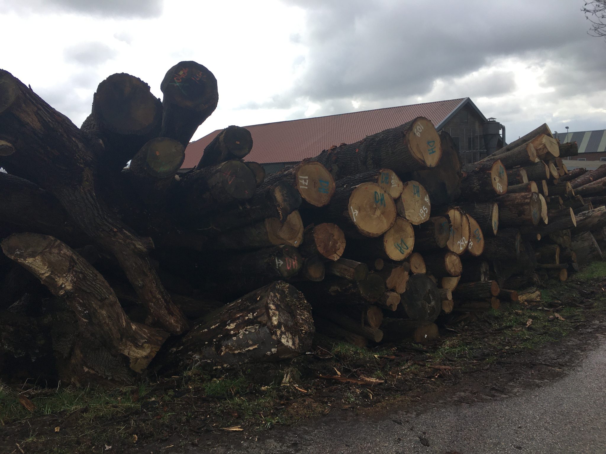 LIMESPAD -9- KESTEREN – WAGENINGEN – Klaasvos.nl