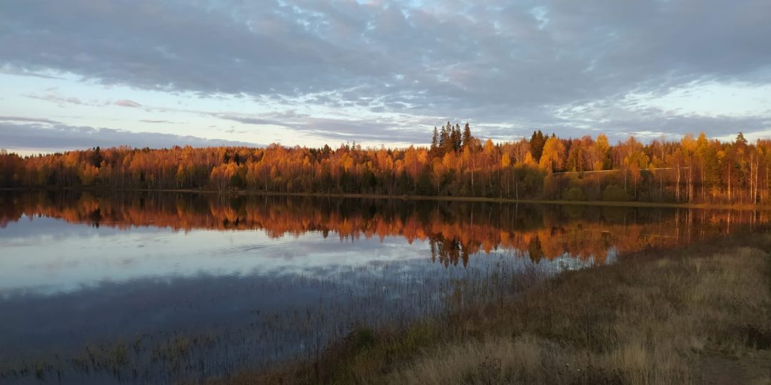 herfst in zweden