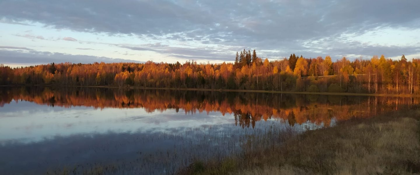 herfst in zweden