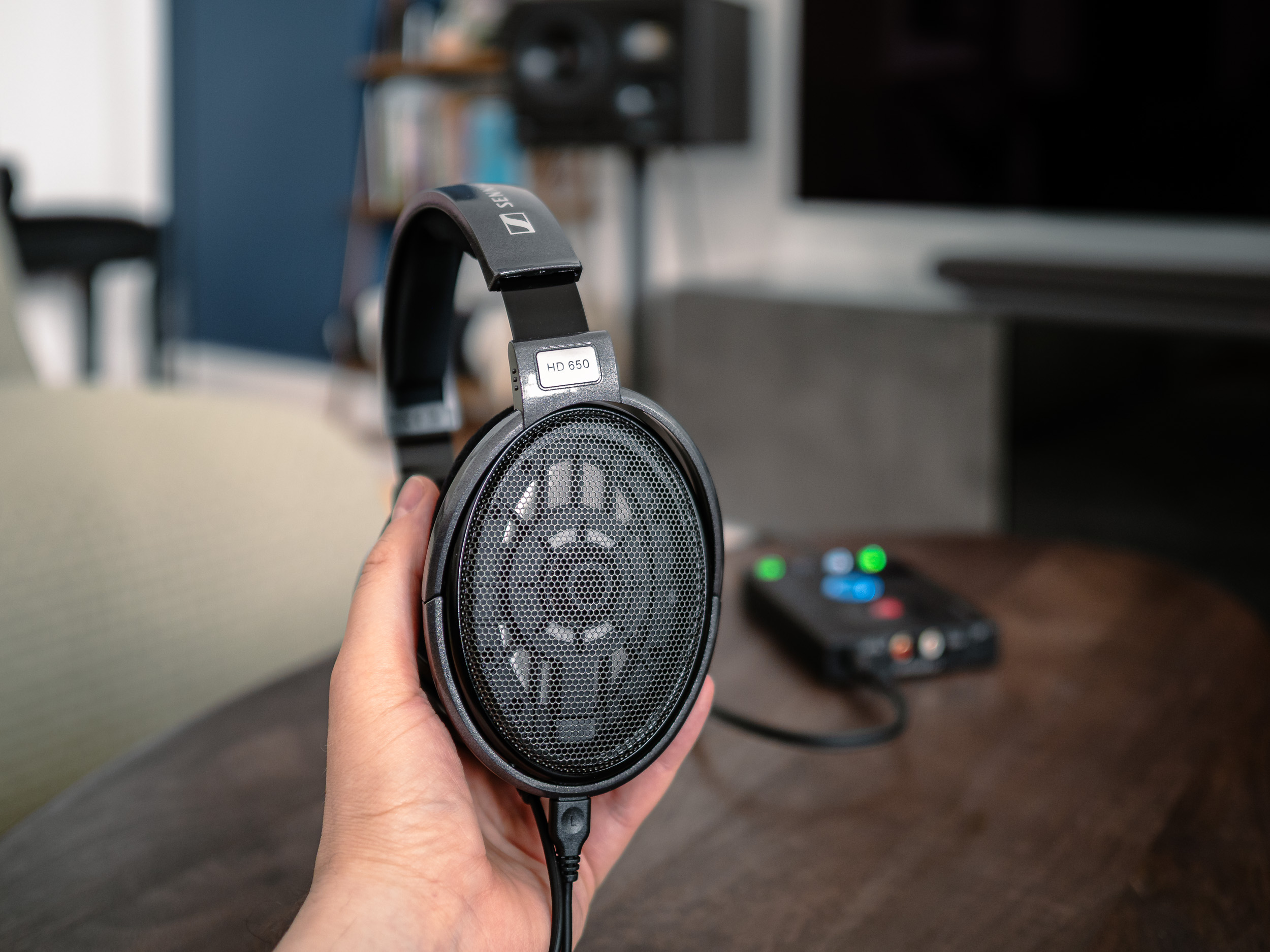 Holding the HD 650