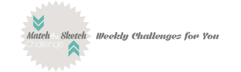 Match-the-sketch Challenge Nr. 098