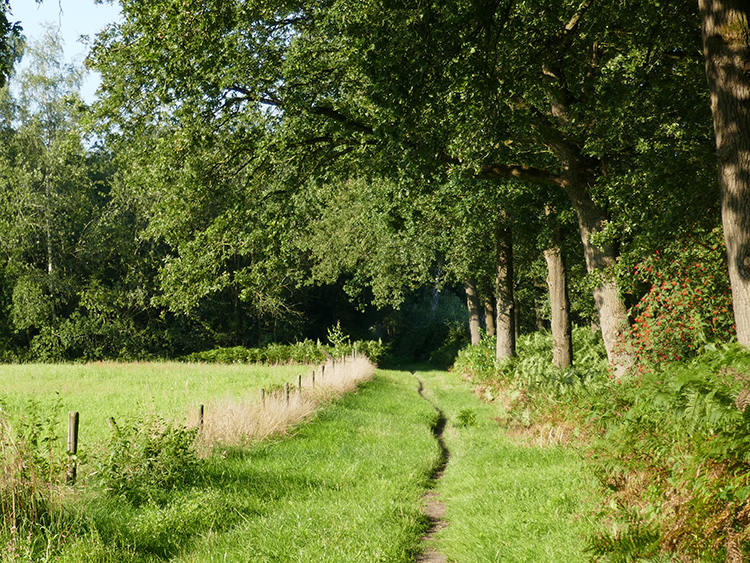 Natuur en geschiedenis