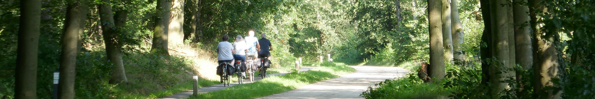 Fietsers op de Hessenweg