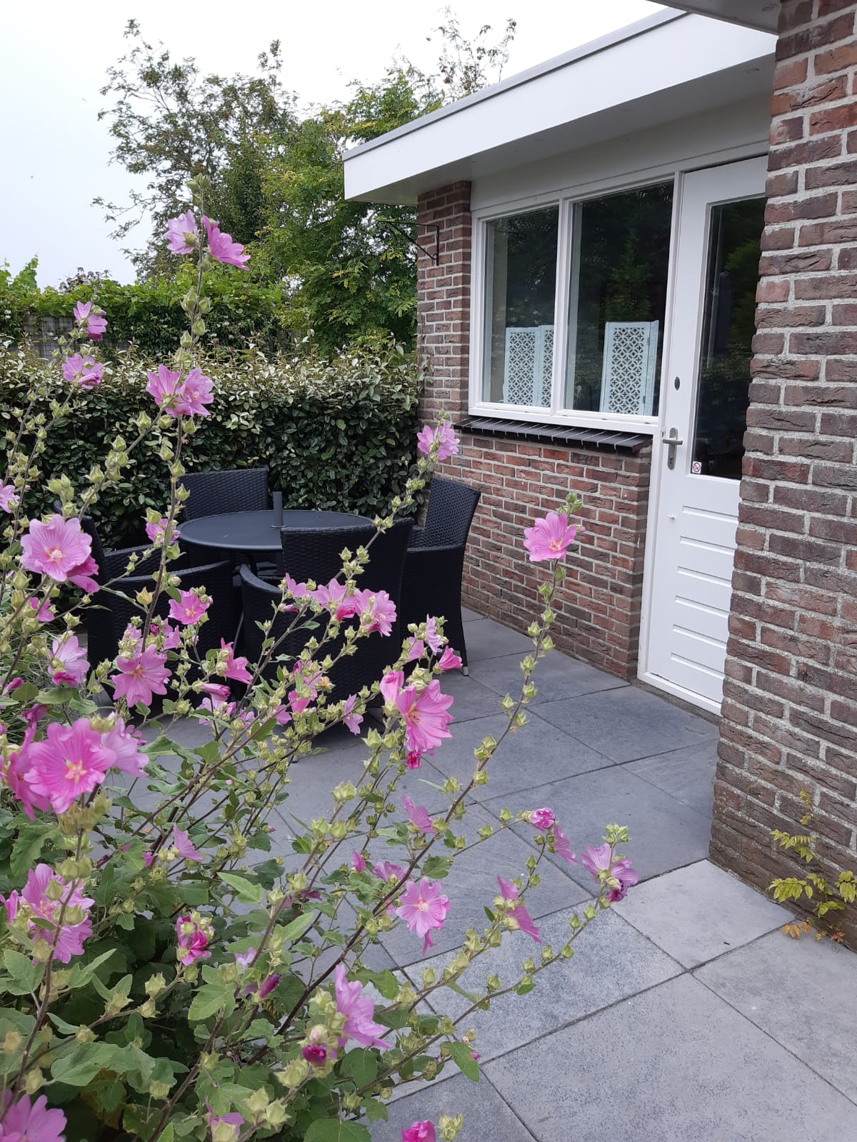 Kleine Vliet tuin