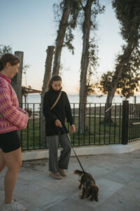 dogtraining marbella