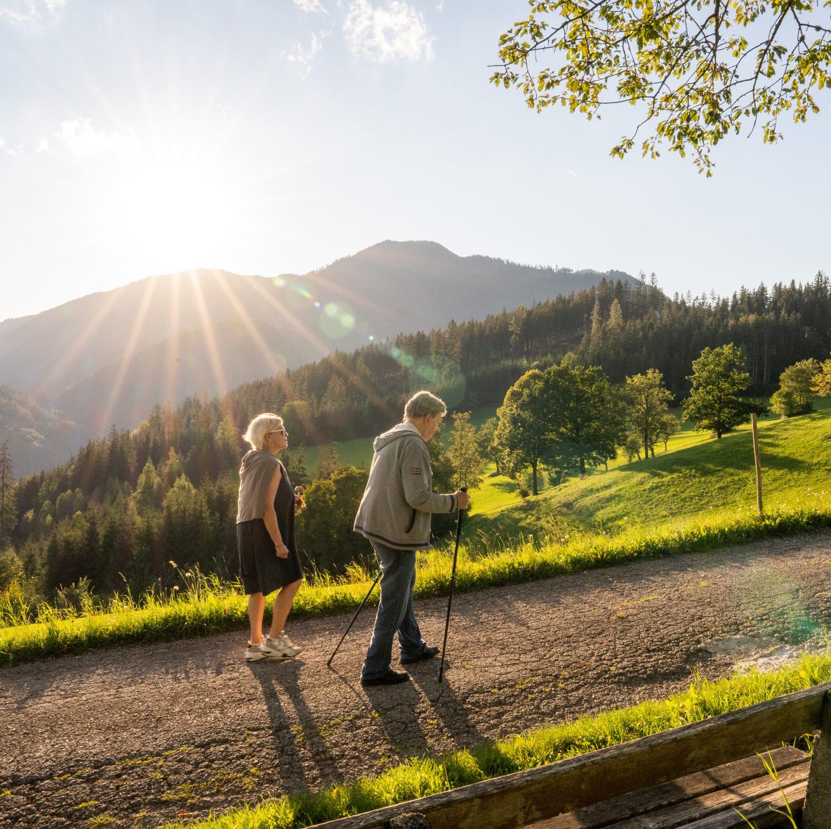 Logotherapie und Psychotherapie sowie Coaching und Lebens und Sozialberatung von Susanne Klima in Saalfelden, Pinzgau