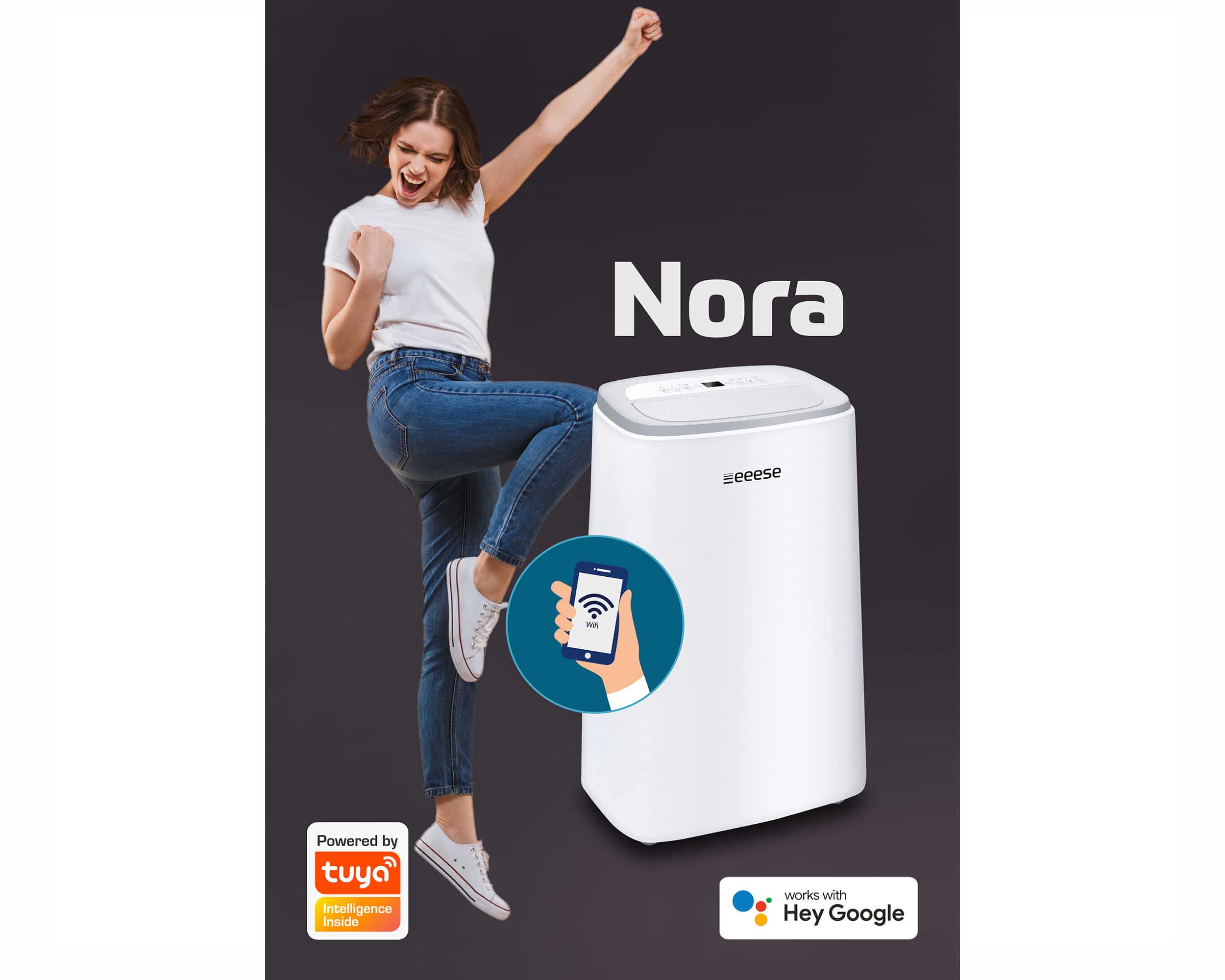 Aircondition Nora 12000 Pro
