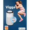 Vigga Luftrenser