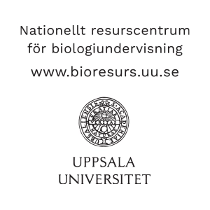 Logotyp för Nationellt resurscentrum för biologiundervisning vid Uppsala universitet, med text och universitetets sigill.