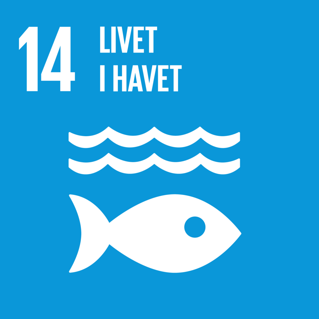 Verdensmål 14 - Livet i havet
