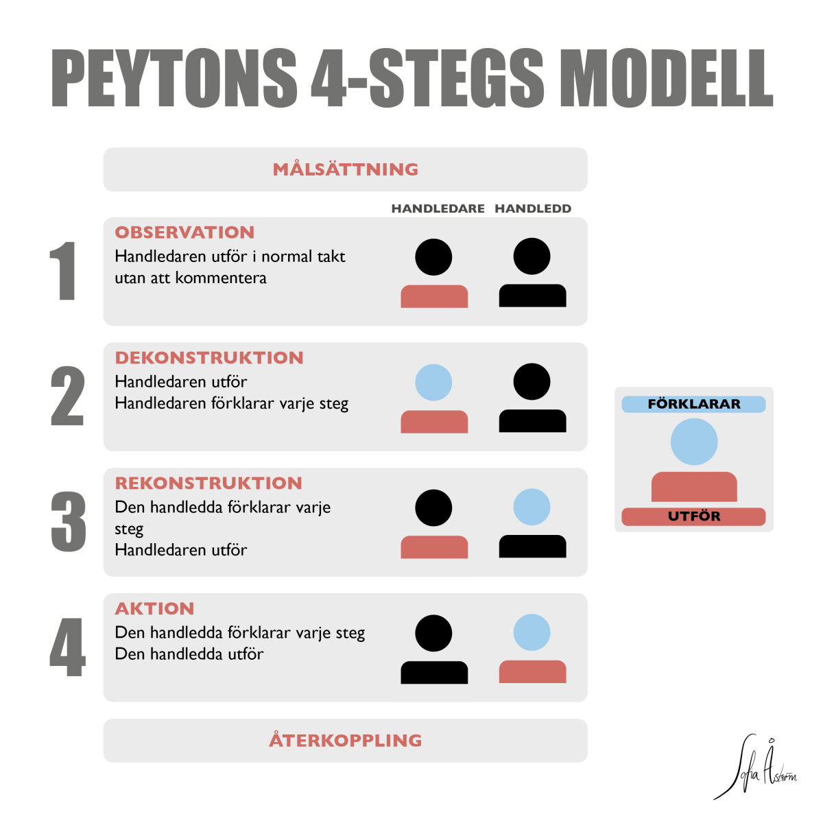 Modell Peytons fyra steg för färdighetsträning Klinisk handledning