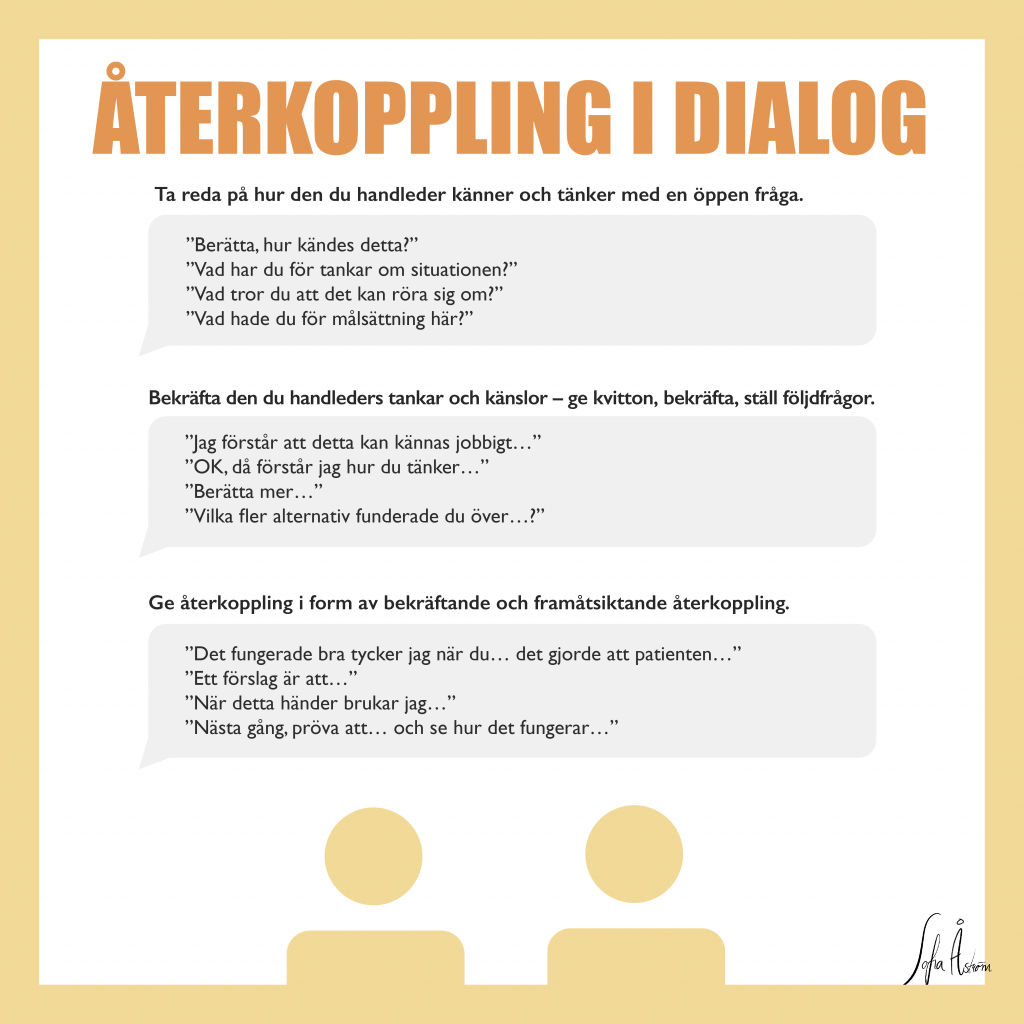 Återkoppling i dialog241205