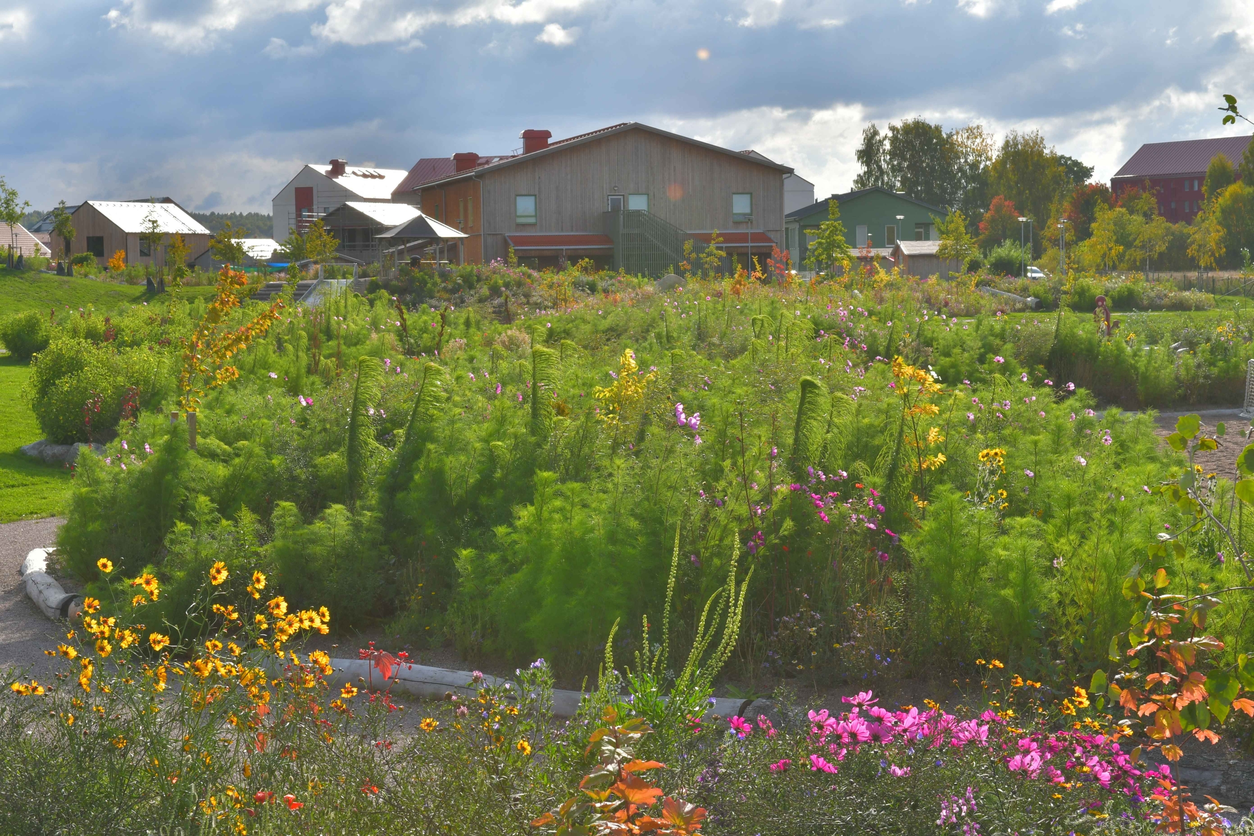 PROJECTS_PUBLIC PARC BIODIVERSITY_Norra Ormesta