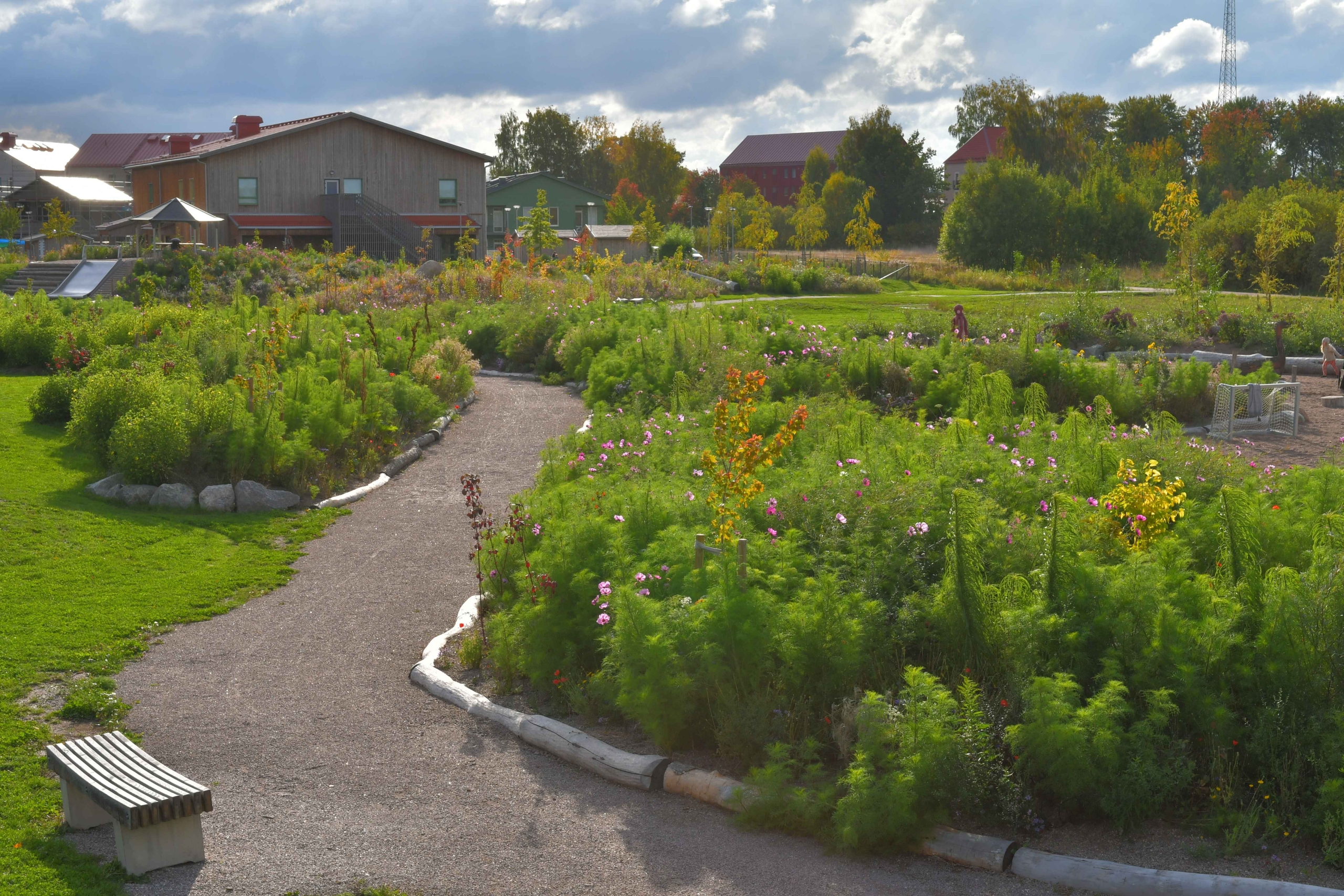 PROJECTS_PUBLIC PARC BIODIVERSITY_Norra Ormesta