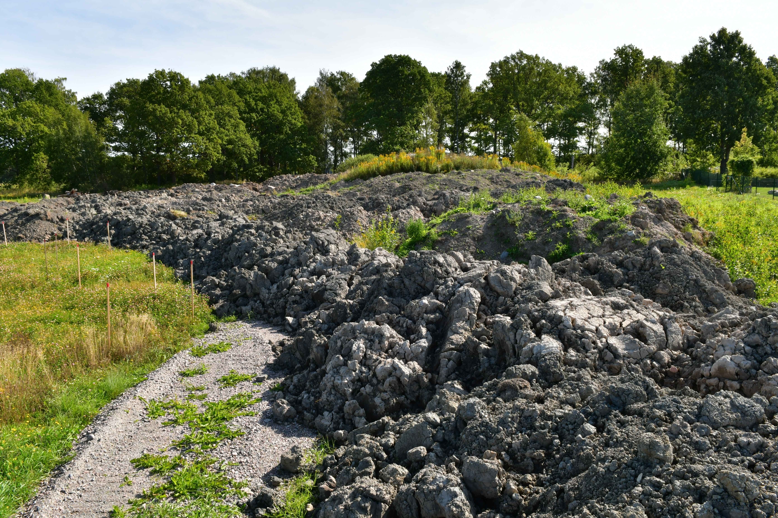 PROJECTS_PUBLIC PARC BIODIVERSITY_Norra Ormesta