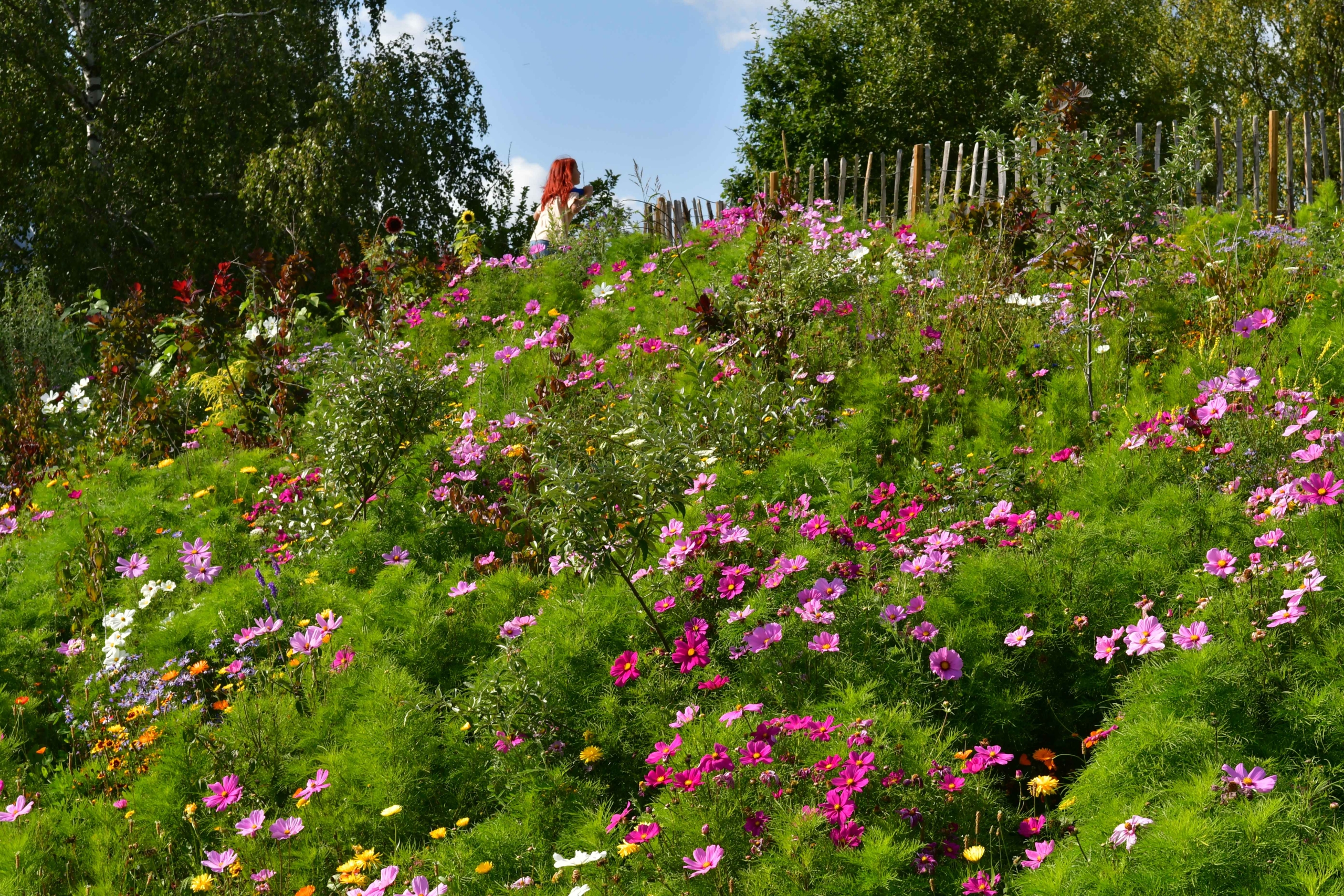 PROJECTS_PUBLIC PARC BIODIVERSITY_Norra Ormesta