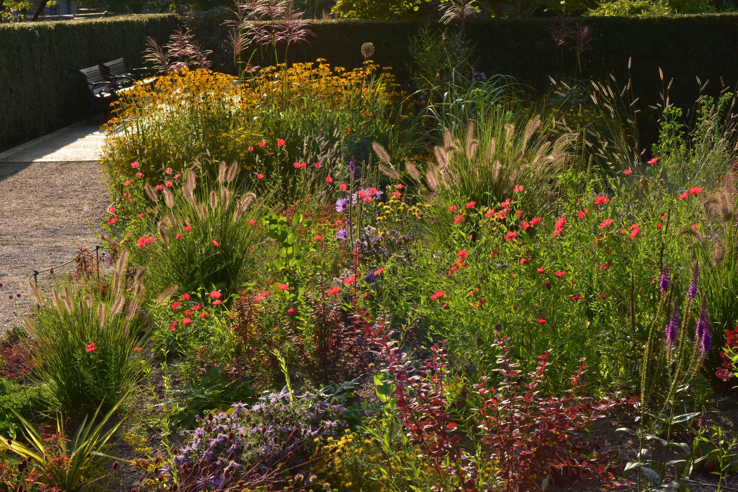 PROJECTS_PUBLIC PARCSGARDENS BIODIVERSITY _The Brick Room, The City park, Örebro 