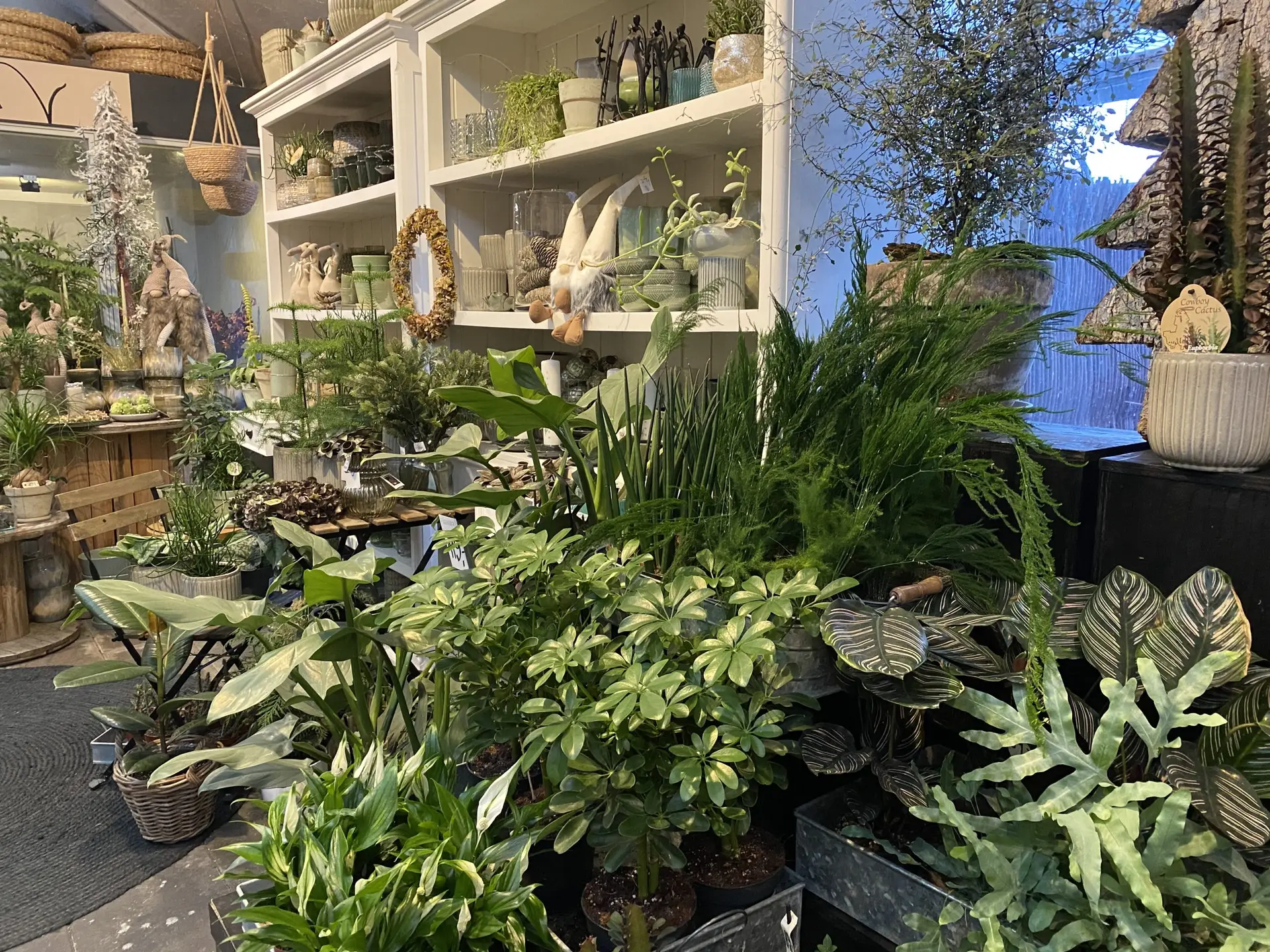 Klokkeblomst butik galleri – Klokkeblomst Klokkeblomst butik galleri