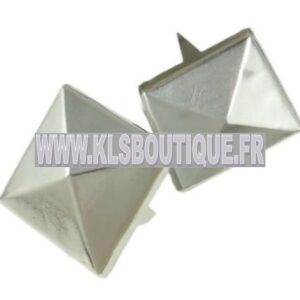 Ref 3556 – 50 Clous à Griffes Carré 10 mm Argenté