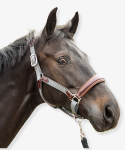 M Elite Leather Webbing Headcollar Havana/Grey