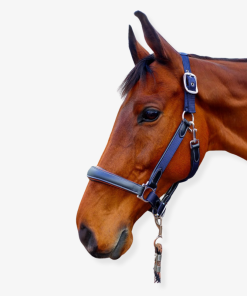 M Elite Leather Webbing Headcollar Navy/black