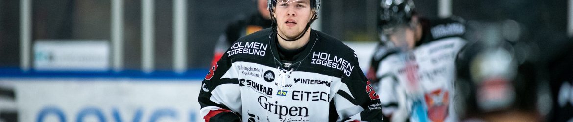 Joel Wahlgren