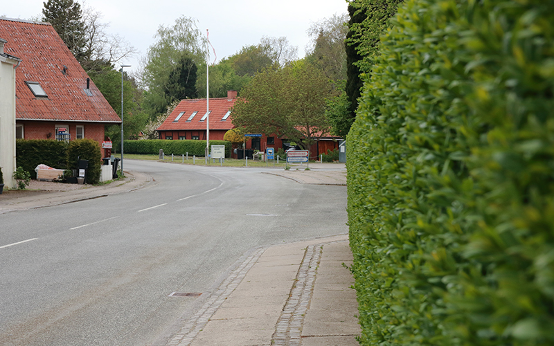 Holbækvej i Knabstrup bys centrum langs en hæk