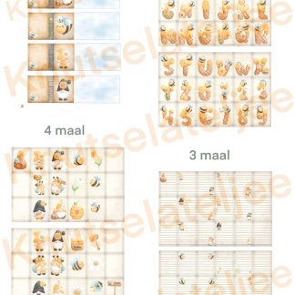 Gnomes bijtjes miniboekje 2 set 1