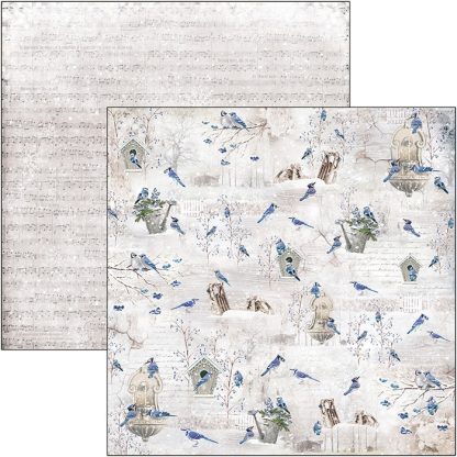 Blue Jay Double-Sided Paper Sheet 12""x12""