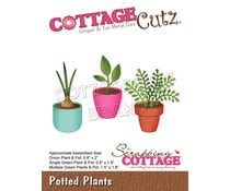 Scrapping Cottage Potted Plants