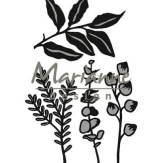 Herbs & leaves