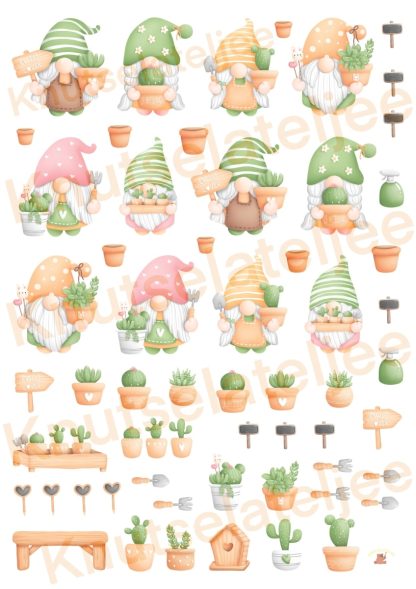 Gnomes cactus knipvel3